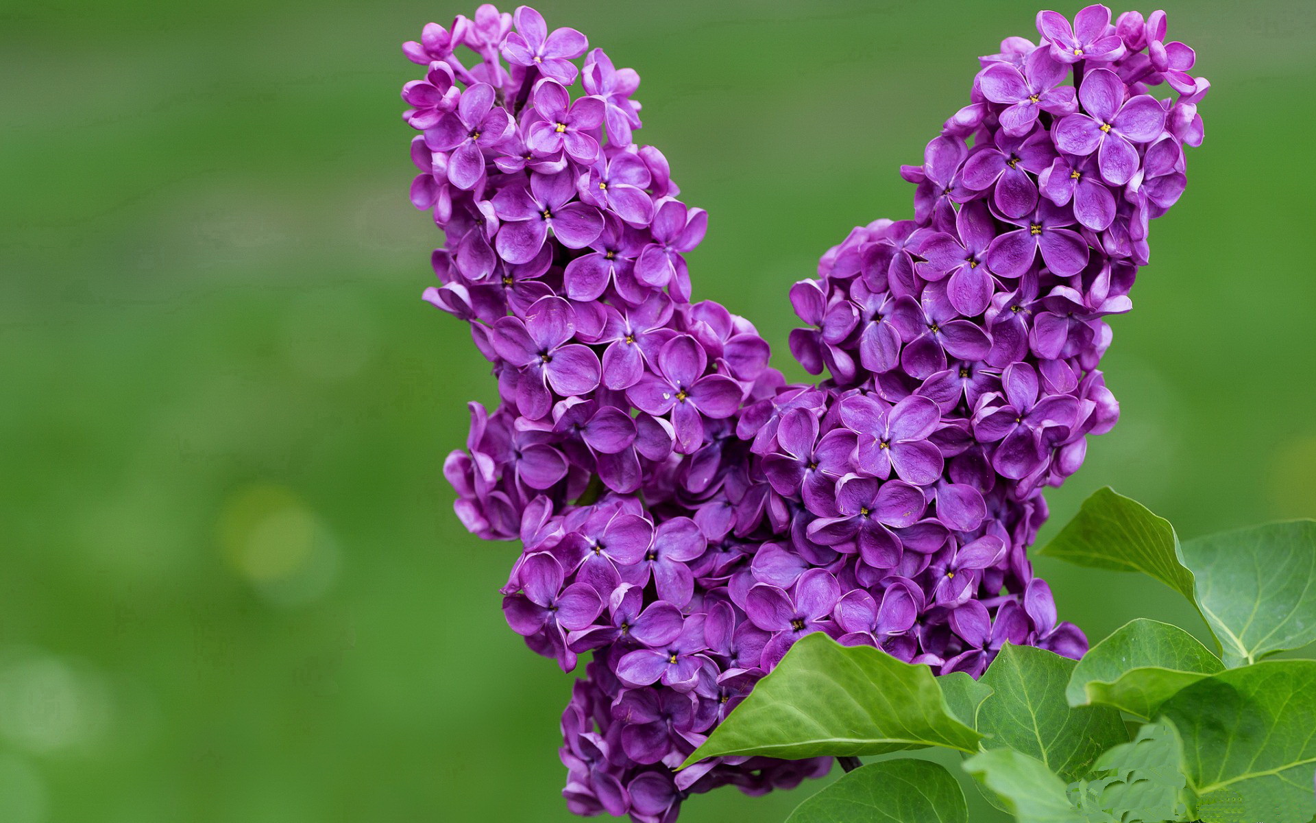 斯图加特高强度逼抢破坏对手出球节奏,斯图加特足球俱乐部百科