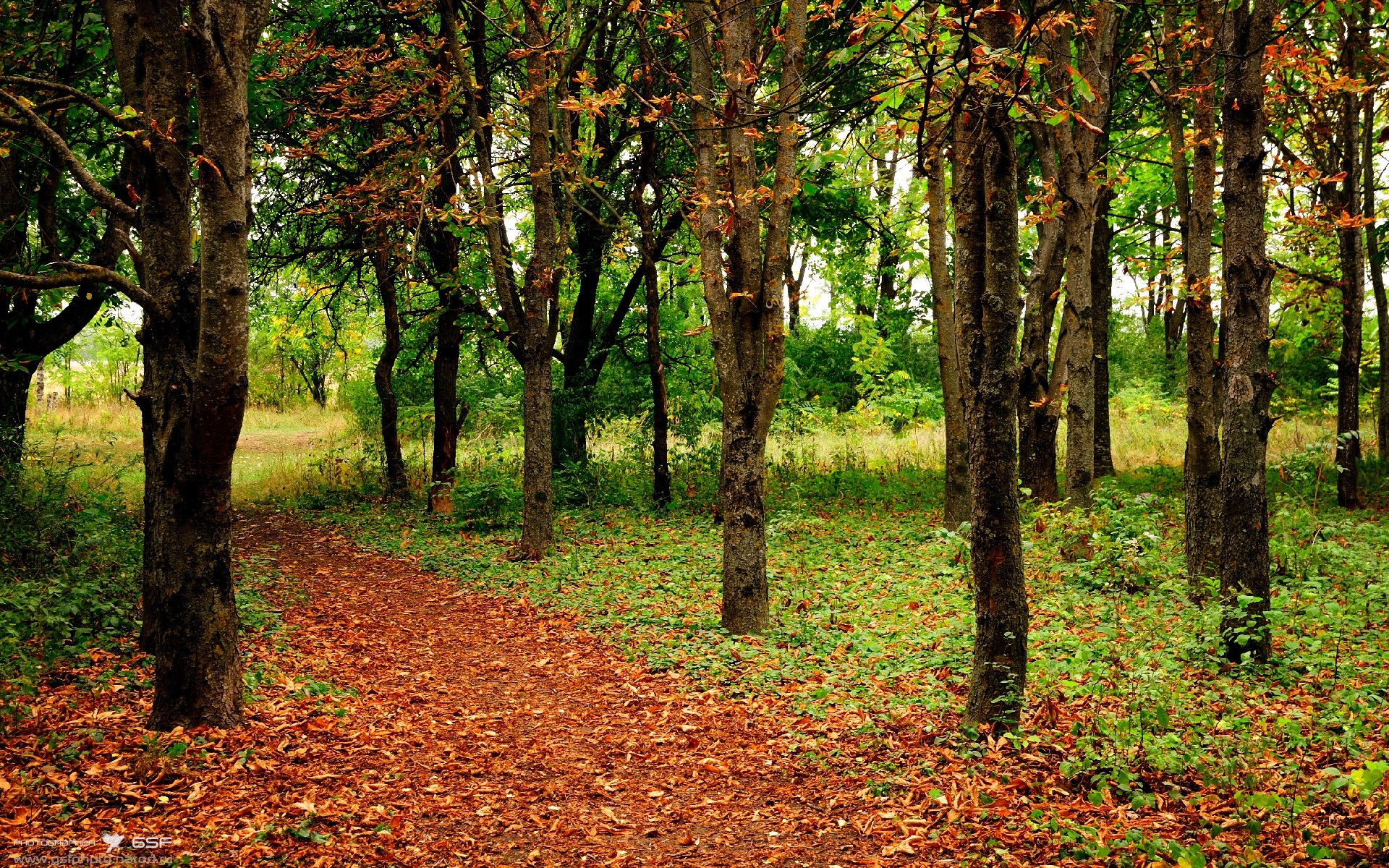 米切尔带队逆转爵士教练战术奏效，爵士米切尔打什么位置