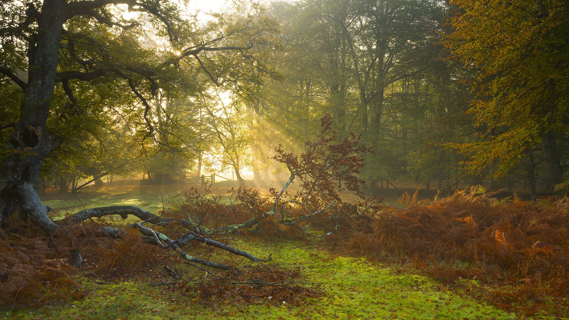 kaiyun app download-职业球员管理引入时间分配模型平衡训练与休息