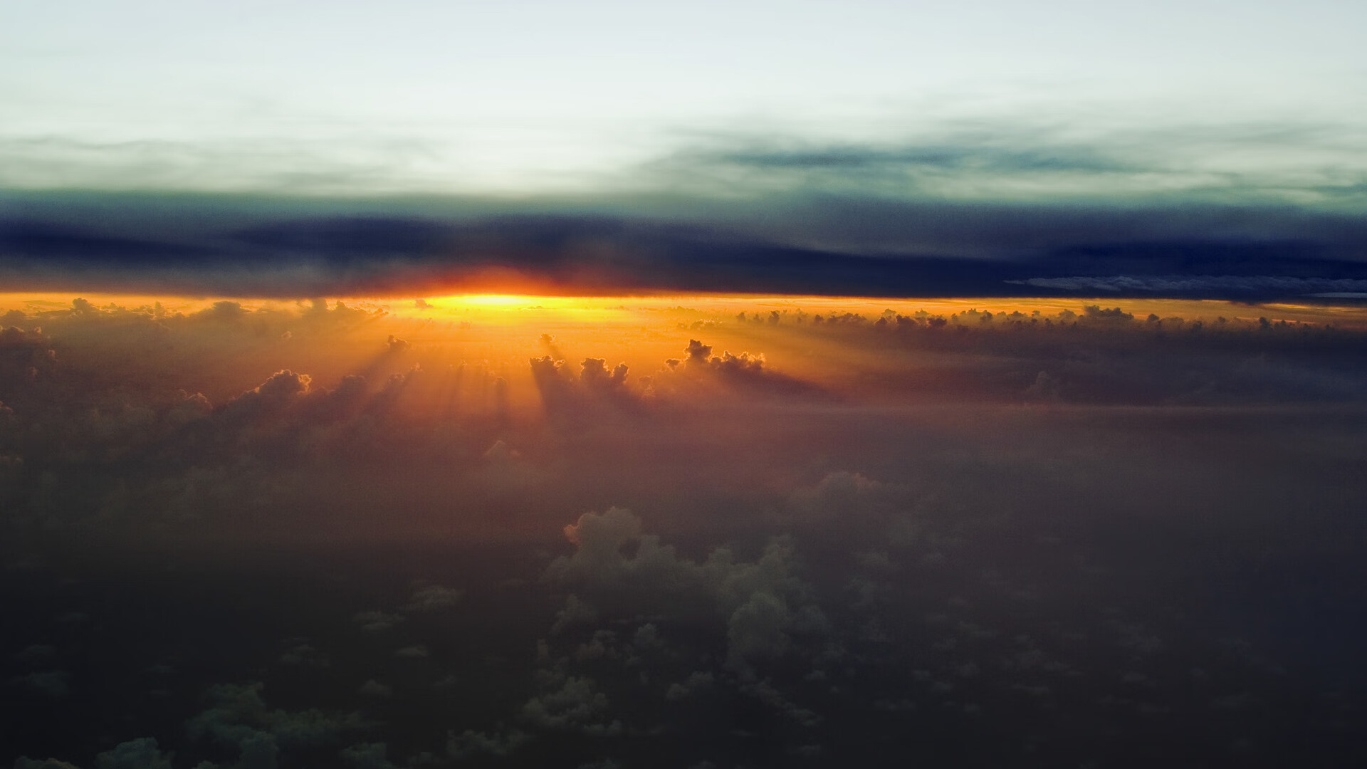 跳水高难动作比利时稳中求胜,比赛跳水视频