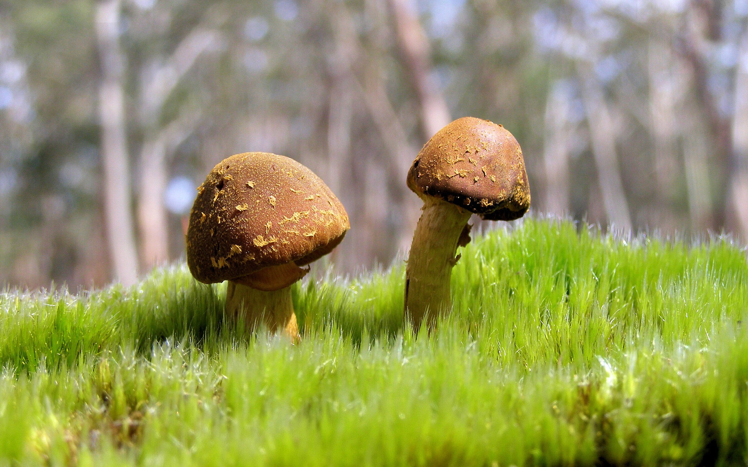 转播团队技术升级全程多角度跟拍呈现赛事全貌，转播团队组成