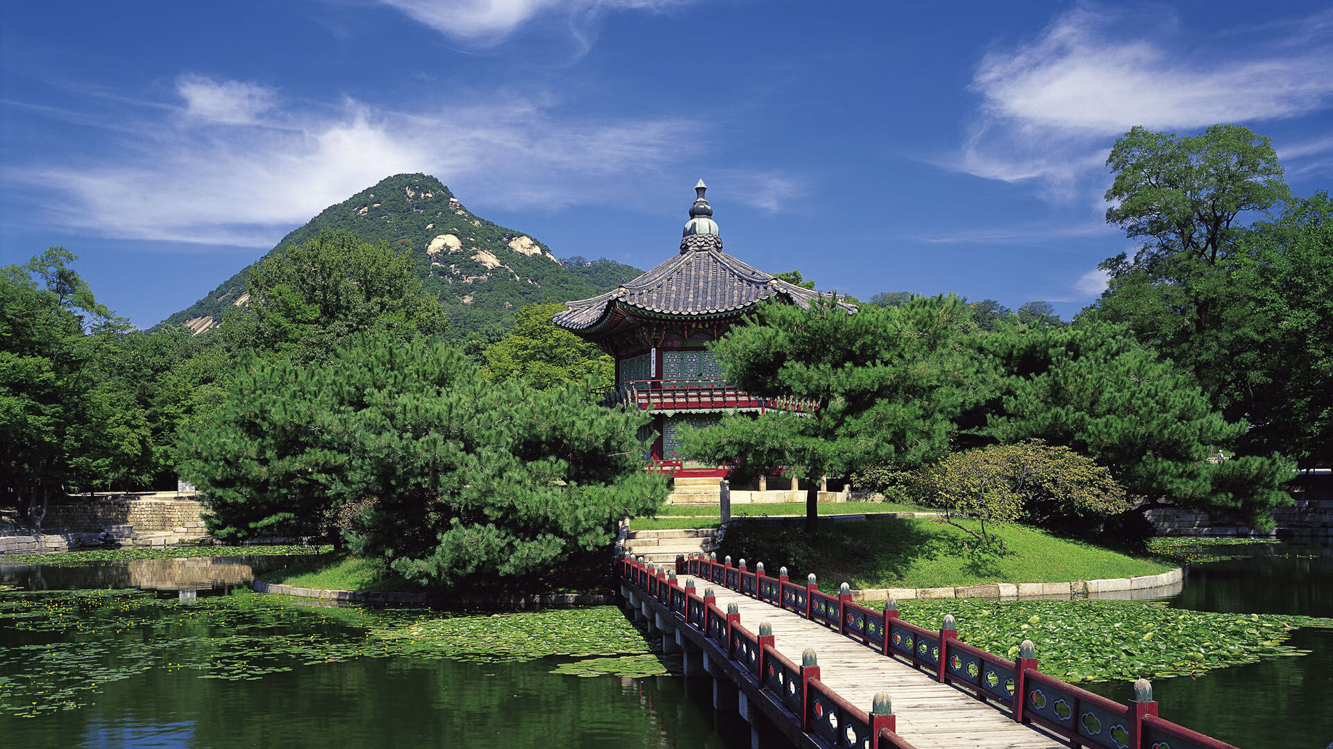 青少年训练营选拔机制优化让更多有潜力选手脱颖而出,参加中国青少年训练营要多少钱